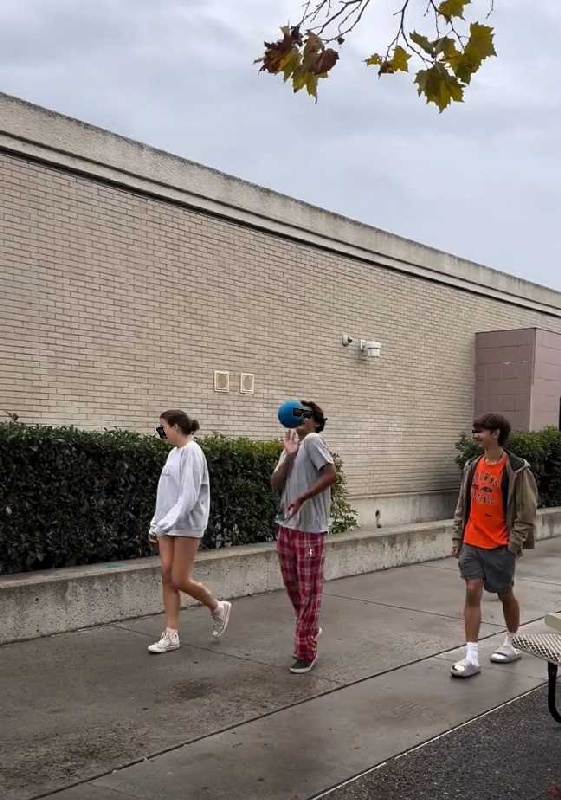 aliso.jpg