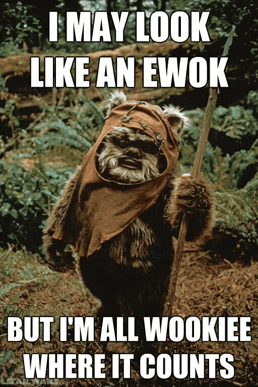 1715636132388.png
